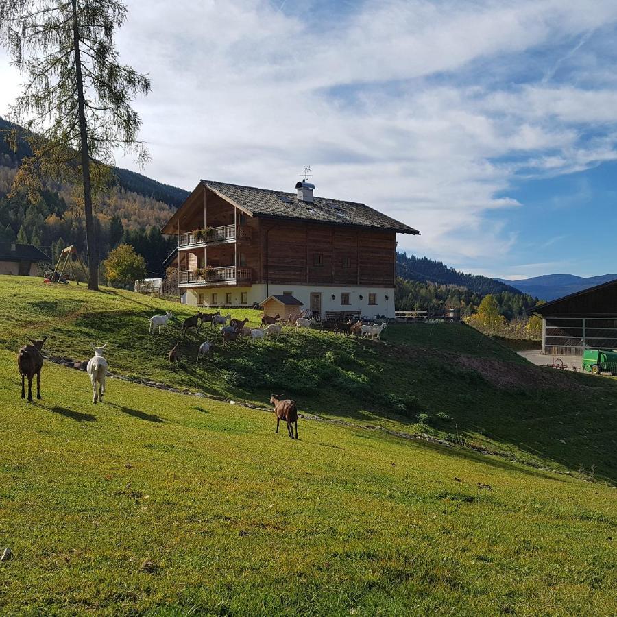 Vila Agritur Maso Piasina Tesero Exteriér fotografie
