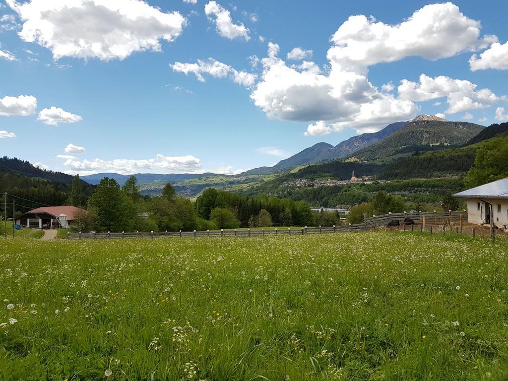 Vila Agritur Maso Piasina Tesero Exteriér fotografie