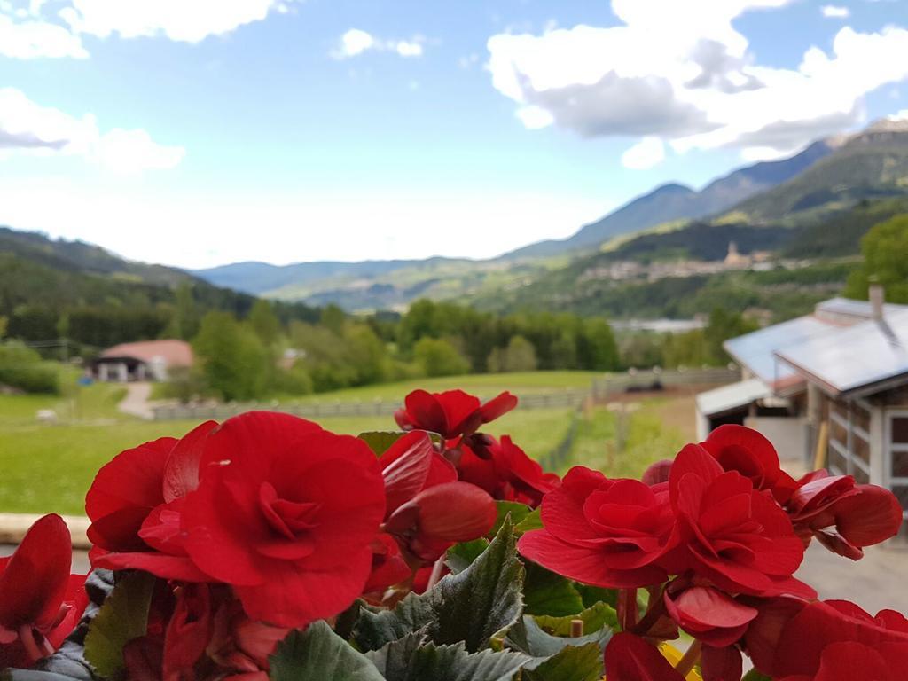 Vila Agritur Maso Piasina Tesero Exteriér fotografie