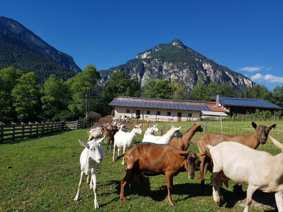 Vila Agritur Maso Piasina Tesero Exteriér fotografie